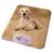 Pet Planet Tapis de fraîcheur pour chien et chat