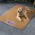 Pet Planet Tapis de fraîcheur pour chien et chat