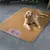Pet Planet Tapis de fraîcheur pour chien et chat