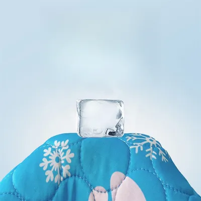 IntiMeg Tapis de refroidissement pour chien en chat