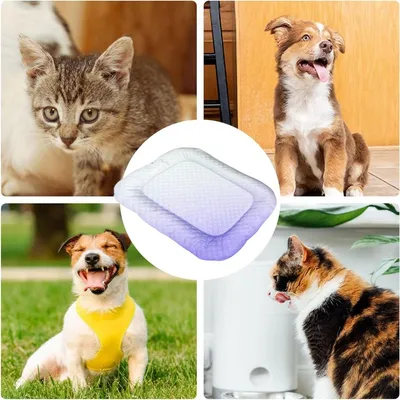 Petopia Tapis rafraîchissant pour animaux