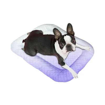 Petopia Tapis rafraîchissant pour animaux