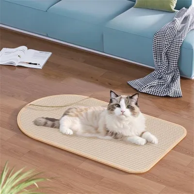 Pet Planet Griffoir en sisal murale pour chat
