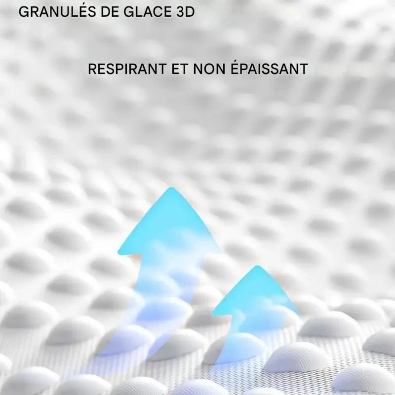Pet Planet Chiens TapisRafraichissantSet Tapis Rafraîchissant