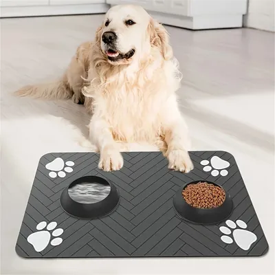 Pet Planet Esterilla de tierra de diatomeas alimentación animal, 40×60 cm