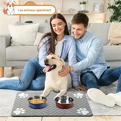 Pet Planet Tapis d'alimentation en argile diatomée 40×60cm