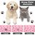 UAMLY Tapis de nourriture pour chien