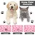 UAMLY Tapis de nourriture pour chien