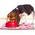 UAMLY Tapis de nourriture pour chien