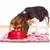 UAMLY Tapis de nourriture pour chien
