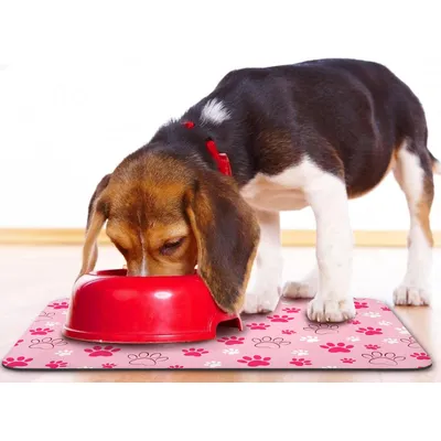 UAMLY Tapis de nourriture pour chien