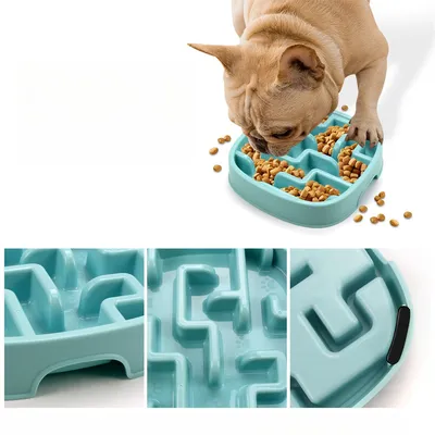 Pet Planet Comedero de PP antitragantamiento para perros y gatos