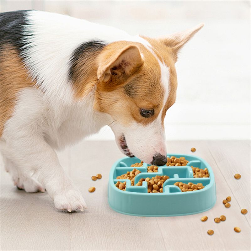 Pet Planet Gamelle anti - glouton en PP pour chiens et chats
