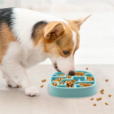 Pet Planet Gamelle anti - glouton en PP pour chiens et chats