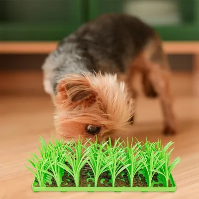 Petopia Alfombra de césped de silicona para gatos y perros