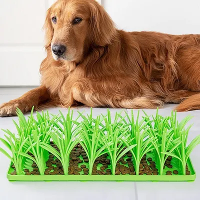 Petopia Tapis d'herbe en silicone pour chats et chiens