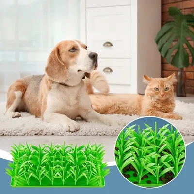 Petopia Alfombra de césped de silicona para gatos y perros