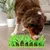 Petopia Tapis d'herbe en silicone pour chats et chiens