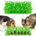 Petopia Tapis d'herbe en silicone pour chats et chiens