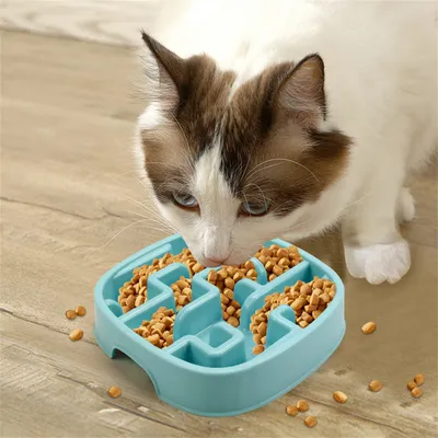 Pet Planet Gamelle anti - glouton en PP pour chiens et chats