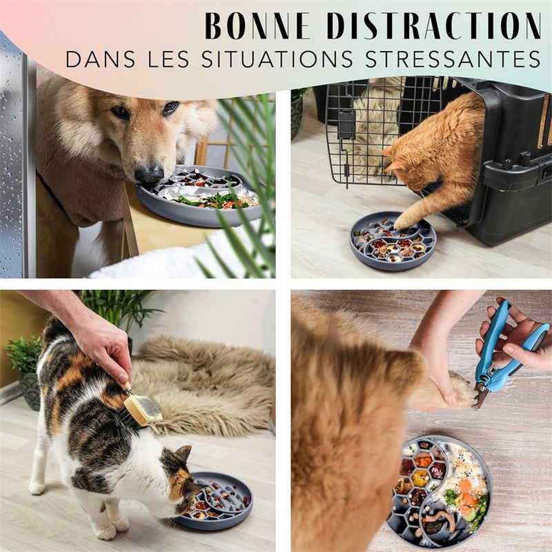 Pet Planet Gamelle anti - glouton en silicone pour chiens et chats