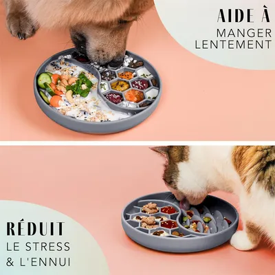 Pet Planet Gamelle anti - glouton en silicone pour chiens et chats