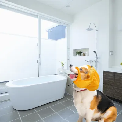 Pet Planet Bonnet de bain pour chien Pet Planet Bonnet de bain pour chien