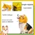 Pet Planet Bonnet de bain pour chien Pet Planet Bonnet de bain pour chien
