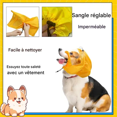Pet Planet Bonnet de bain pour chien Pet Planet Bonnet de bain pour chien