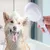 Petopia Pommeau de douche pour animal Petopia Pommeau de douche pour animal