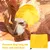 Pet Planet Bonnet de bain pour chien 3 articles