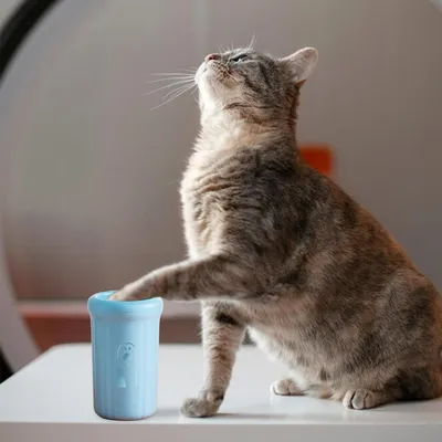 Petopia Nettoyant pour pattes de chien