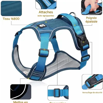 Petopia Harnais Anti - Traction Réglable pour Chien