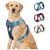 Petopia Harnais Anti - Traction Réglable pour Chien