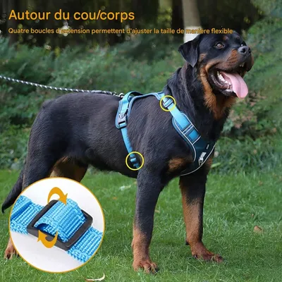 Petopia Arnés antitirones ajustable para perros