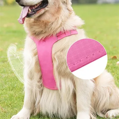 Petopia  Harnais et laisses pour chiens