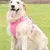 Petopia  Harnais et laisses pour chiens