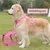 IntiMeg Harnais fin pour chien