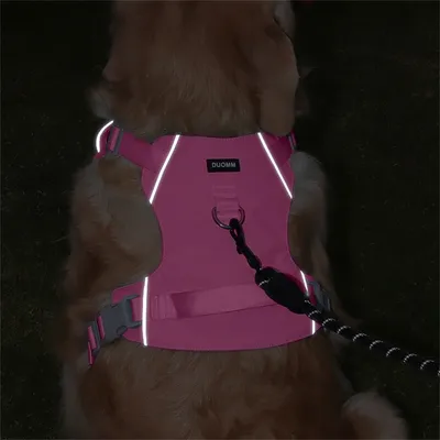 IntiMeg Harnais fin pour chien