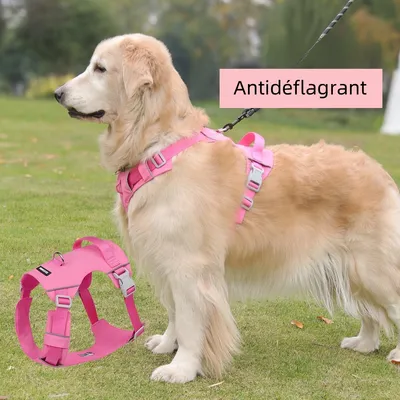 IntiMeg Harnais fin pour chien