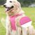 IntiMeg Harnais fin pour chien