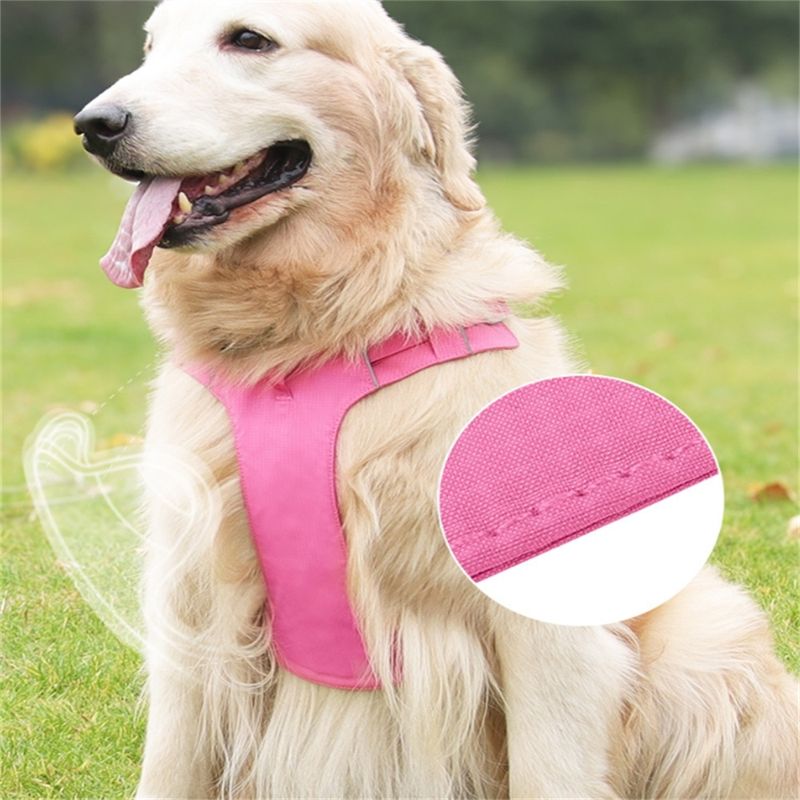 IntiMeg Harnais fin pour chien