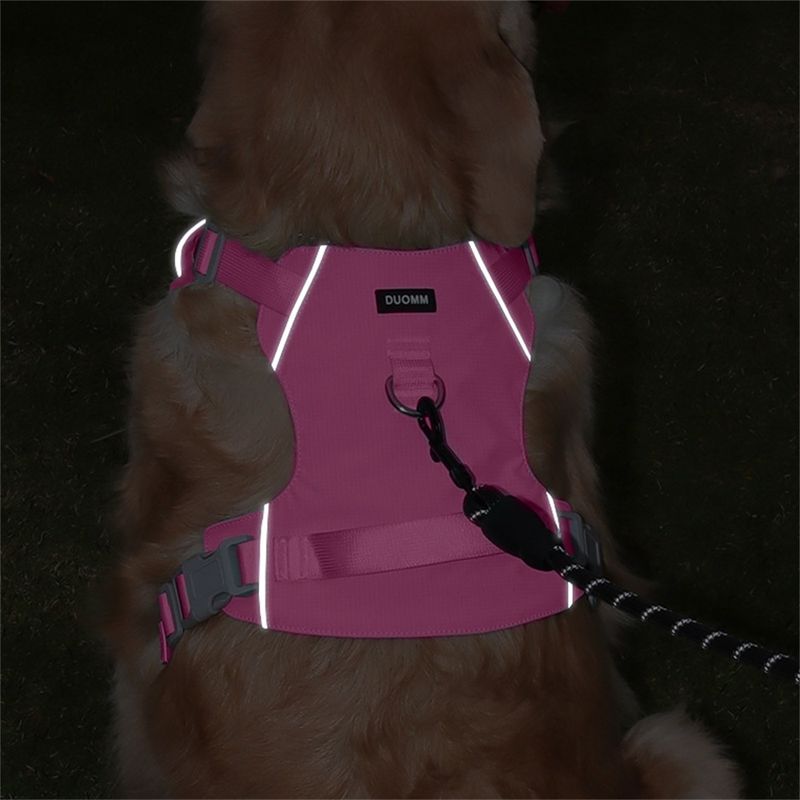 IntiMeg Harnais fin pour chien
