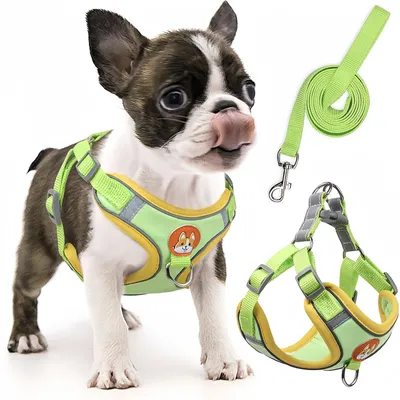 Harnais pour chien Anti - tir  Réglable Avec laisse Réfléchissant