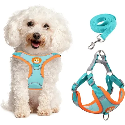 Harnais pour chien Anti - tir Réglable Avec laisse Réfléchissant Harnais pour chien Anti - tir Réglable Avec laisse Réfléchissant