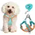 Harnais pour chien Anti - tir Réglable Avec laisse Réfléchissant Harnais pour chien Anti - tir Réglable Avec laisse Réfléchissant