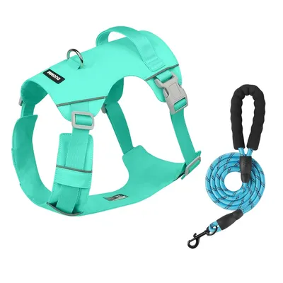 Petopia Arneses y correas para perros