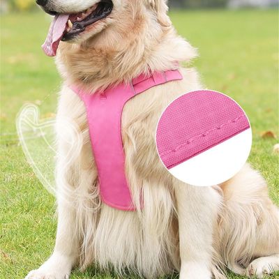 Petopia  Harnais et laisses pour chiens