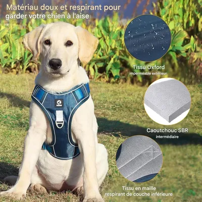 Petopia Harnais Anti - Traction Réglable pour Chien