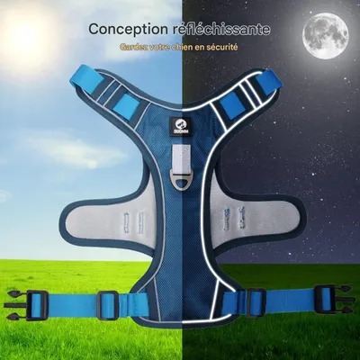 Petopia Harnais Anti - Traction Réglable pour Chien